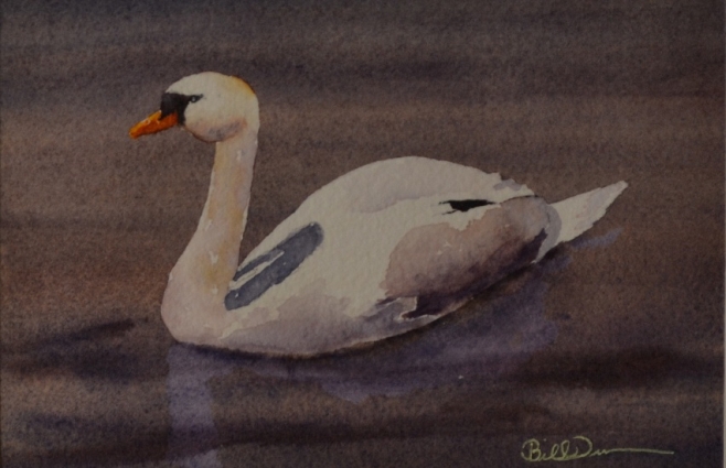 Imperial Swan