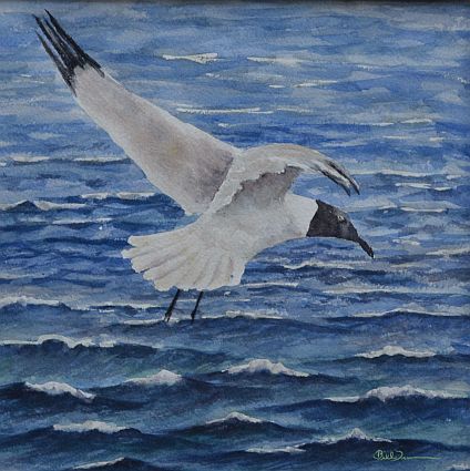 Tern in the Wind