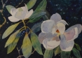 Magnolias